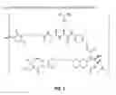 Fig. 08 - ANTI-CD79B ANTIBODIES AND IMMUNOCONJUGATES