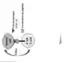 Fig. 06 - Glycan-dependent immunotherapeutic molecules