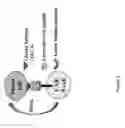 Fig. 07 - Glycan-dependent immunotherapeutic molecules