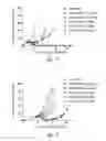 Fig. 03 - CD123 antibodies and conjugates thereof