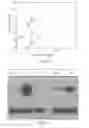 Fig. 32 - Methods of treatment using ultrasmall nanoparticles to induce cell death of nutrient-deprived cancer cells via ferroptosis
