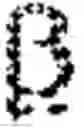 Fig. 02 - COMPLEXES OF RNA AND CATIONIC PEPTIDES FOR TRANSFECTION AND FOR IMMUNOSTIMULATION