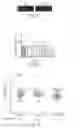 Fig. 08 - Methods of delivery of transgenes for treating brain diseases