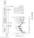 Fig. 13 - Methods of delivery of transgenes for treating brain diseases