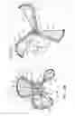 Fig. 12 - Blood pump