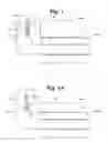 Fig. 02 - OCCLUSION DETECTION