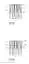 Fig. 07 - Syringe support and autoinjector