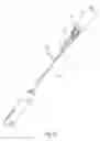 Fig. 21 - Auto-injector