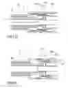 Fig. 23 - Auto-injector