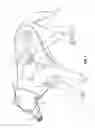 Fig. 02 - Device for Administering CPR to Pets
