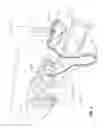 Fig. 02 - Respiratory therapy apparatus and method