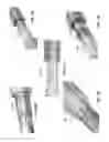 Fig. 10 - Modular lead