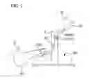 Fig. 03 - Device for pelvic limb blood flow