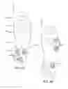 Fig. 05 - Smart performance footwear and system