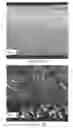Fig. 04 - Agarose ultrafiltration membrane composites for size based separations
