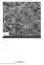 Fig. 05 - Agarose ultrafiltration membrane composites for size based separations