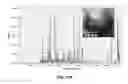 Fig. 11 - Nanoscale biochemical sample preparation and analysis