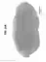 Fig. 46 - Nanoscale biochemical sample preparation and analysis