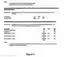 Fig. 08 - Process for coating of articles