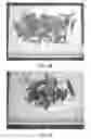 Fig. 08 - Systems and methods for use in processing of forest residue