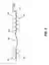 Fig. 08 - Dual-stage multi-roll leveler and work roll assembly