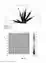 Fig. 12 - Rolled stainless steel object and manufacturing method therefor