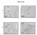 Fig. 02 - Single-helical gold nanoparticle superstructures and methods of making