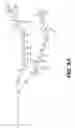 Fig. 09 - Single-helical gold nanoparticle superstructures and methods of making