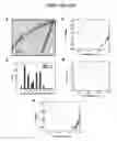 Fig. 17 - Single-helical gold nanoparticle superstructures and methods of making