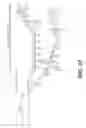 Fig. 19 - Single-helical gold nanoparticle superstructures and methods of making