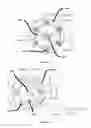 Fig. 03 - Puller Tool and Method Therefor