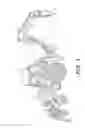 Fig. 02 - Hammer work tool having multi-position retention collar