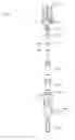 Fig. 01 - Shoed Hydraulic Hammer Piston