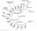Fig. 01 - Base systems for supporting soft robotic actuators