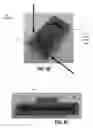 Fig. 14 - Base systems for supporting soft robotic actuators