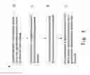 Fig. 07 - RFID device and method for making the same