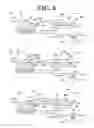 Fig. 09 - FORMING APPARATUS AND FORMING METHOD