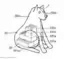 Fig. 01 - Composite object and composite object producing method