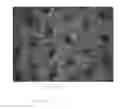 Fig. 08 - Hydraulically treated nonwoven fabrics and method of making the same