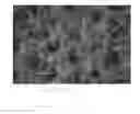 Fig. 09 - Hydraulically treated nonwoven fabrics and method of making the same