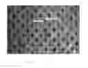 Fig. 15 - Hydraulically treated nonwoven fabrics and method of making the same