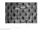 Fig. 16 - Hydraulically treated nonwoven fabrics and method of making the same