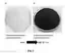 Fig. 08 - 2-dimensional carbon material