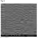 Fig. 04 - Digitally imageable flexo-printing plate with integrated barrier layer