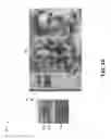 Fig. 04 - Security ink based security feature