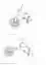 Fig. 02 - Amphibian