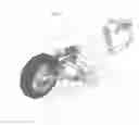 Fig. 04 - Amphibian