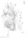 Fig. 19 - Locking device having a locking hook and a movable slide
