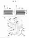 Fig. 07 - ENERGY ABSORPTION STRUCTURE