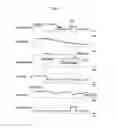 Fig. 04 - Method and device for learning engine clutch kiss point of hybrid vehicle